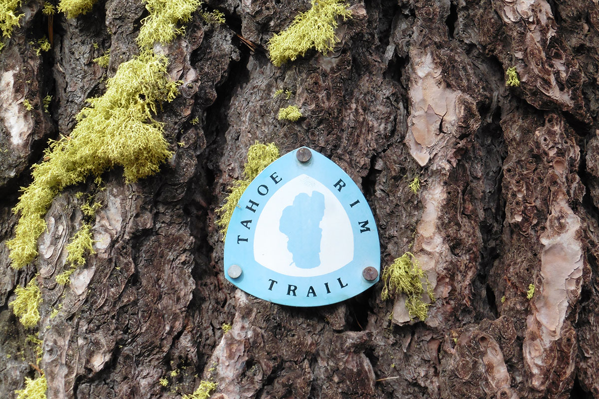 Tahoe Rim Trail Blaze