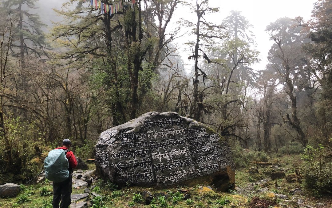 Day 19: We Got Us Some Trail Legs!